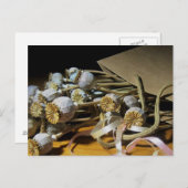 Carte Postale Pods de pavot à fleurs séchés (Devant / Derrière)