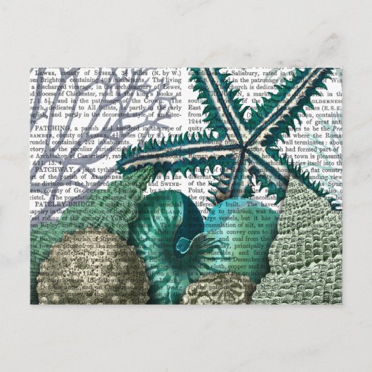 Carte Postale Poêle sous la mer (Devant)