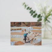 Carte Postale Poêles à sel de Maras, Pérou (Debout devant)
