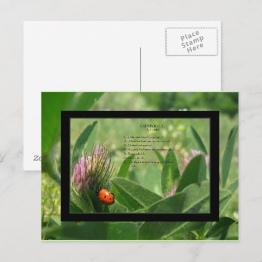 Carte postale Poem Ladybug (Devant / Derrière)