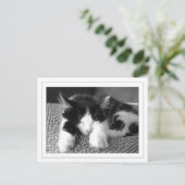 Carte Postale Poète d'Anora (Debout devant)