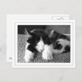 Carte Postale Poète d'Anora (Devant / Derrière)