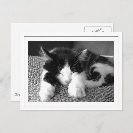 Carte Postale Poète d'Anora (Devant / Derrière)