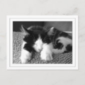 Carte Postale Poète d'Anora (Devant)