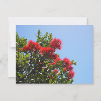 Carte postale Pohutukawa 2