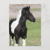 Carte Postale Poignée noire et blanche pour vannière tzigane dre (Devant)