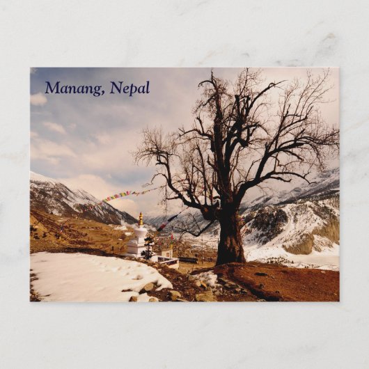 Carte Postale Poignées d'hiver Manang (Devant)