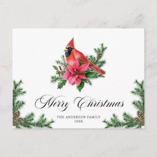 Carte Postale Poinsettia Cardinal Rouge Noël de Noël