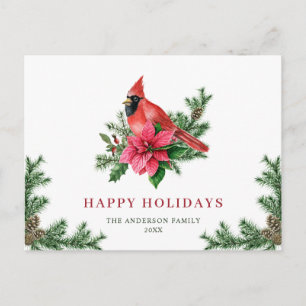 Carte Postale Poinsettia Cardinal Rouge Noël de Noël