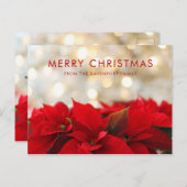 Carte Postale Poinsettias rouges avec Golden Bokeh Noël (Devant / Derrière)