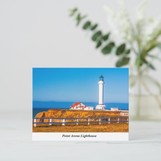 Carte Postale Point Arena Lighthouse Postcard (Debout devant)