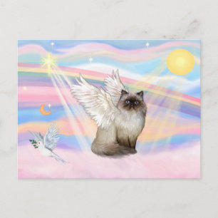 Carte Postale Point Chocolat Himalaya Chat Angel