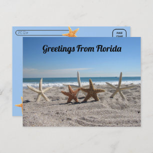 Carte Postale Point de passage - Coquillages sur la plage