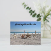 Carte Postale Point de passage - Coquillages sur la plage (Debout devant)