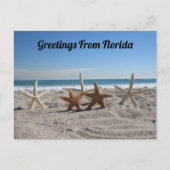 Carte Postale Point de passage - Coquillages sur la plage (Devant)