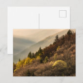 Carte Postale Point de vue de la vallée d'Oconaluftee | Caroline (Devant / Derrière)
