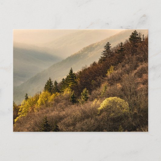 Carte Postale Point de vue de la vallée d'Oconaluftee | Caroline (Devant)