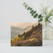 Carte Postale Point de vue de la vallée d'Oconaluftee | Caroline (Debout devant)
