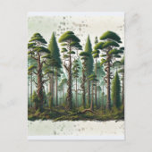 Carte Postale Point de vue sur la forêt des arbres (Devant)