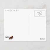 Carte Postale Point d'inspiration II (Dos)