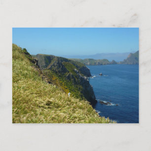 Carte Postale Point d'inspiration II d'Anacapa aux îles Anglo-No