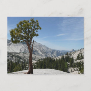 Carte Postale Point I d'Olmsted au parc national Yosemite