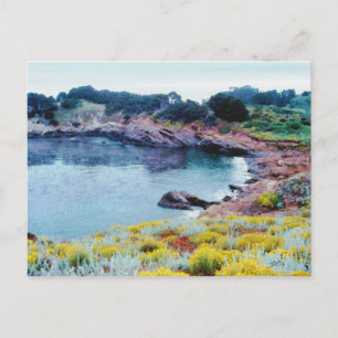Carte Postale Point Lobos