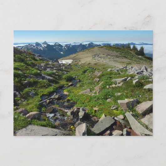 Carte Postale Point Panorama du mont Rainier (Devant)