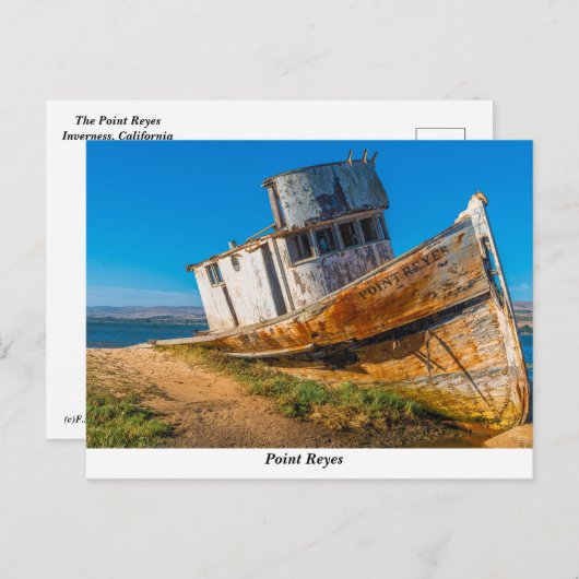 Carte postale Point Reyes (Devant / Derrière)