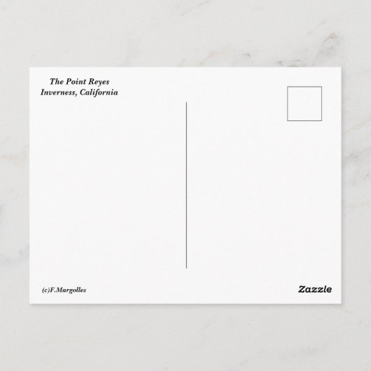 Carte postale Point Reyes (Dos)