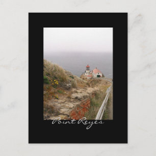 Carte Postale Point Reyes Lighthouse Postcard