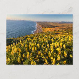 Carte Postale Point Reyes National Seashore California