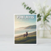 Carte Postale Point Reyes National Seashore Elk (Debout devant)