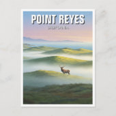 Carte Postale Point Reyes National Seashore Elk (Devant)