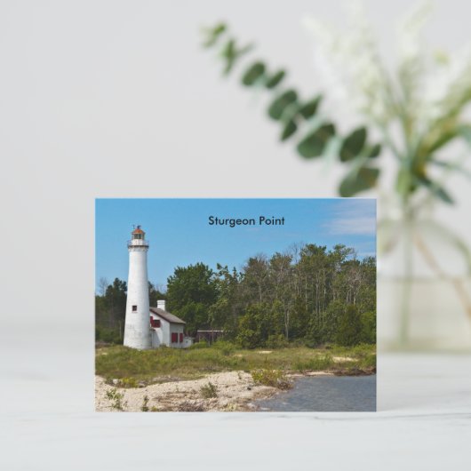 Carte Postale Point Sturgeon (Debout devant)