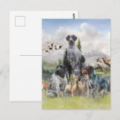 Carte Postale Pointer à poil dur allemand (Devant / Derrière)