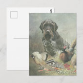 Carte Postale Pointer à poil dur allemand (Devant / Derrière)