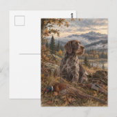 Carte Postale Pointer allemand à poil dur (Devant / Derrière)