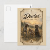 Carte Postale Pointer allemand - Collection de chasse (Devant / Derrière)