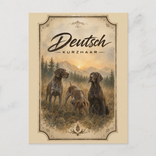 Carte Postale Pointer allemand - Collection de chasse (Devant)
