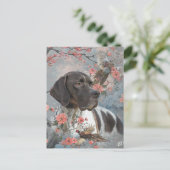 Carte Postale Pointer Anglais (Debout devant)