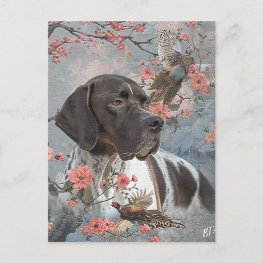 Carte Postale Pointer Anglais (Devant)