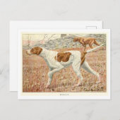 Carte postale Pointer Dogs (Devant / Derrière)