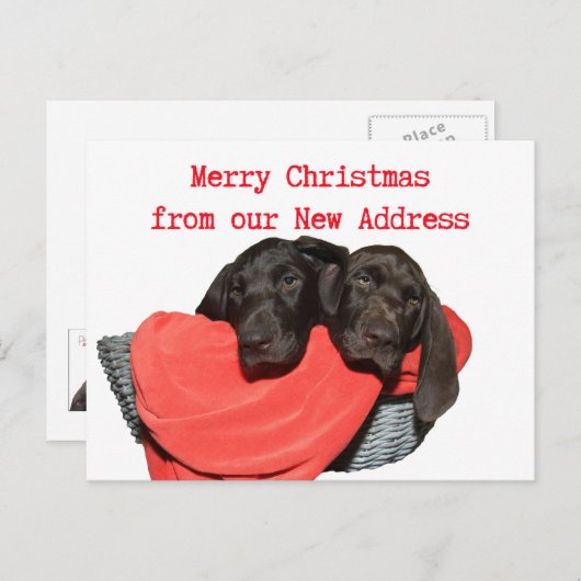 Carte Postale Pointer soeurs Nouvelle adresse Noël (Devant / Derrière)