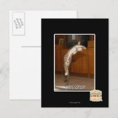 Carte Postale Pointeur 3 invisible (Devant / Derrière)