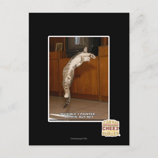 Carte Postale Pointeur 3 invisible (Devant)