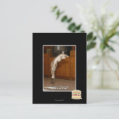 Carte Postale Pointeur 3 invisible (Debout devant)