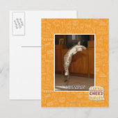 Carte Postale Pointeur 3 invisible (Devant / Derrière)