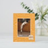 Carte Postale Pointeur 3 invisible (Debout devant)
