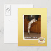 Carte Postale Pointeur 3 invisible (Devant / Derrière)